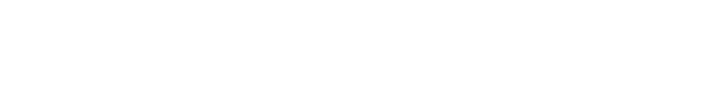 Rayzer Digital